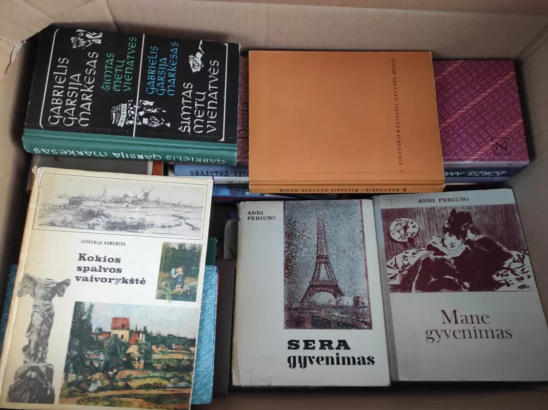 Didele dėžė lietuvių kalba knygų - Įvairūs autoriai, knyga 3