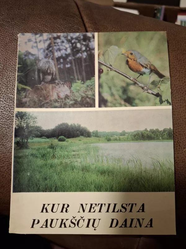 Kur netilsta paukščių daina - Romualdas Šimkūnas, knyga 2