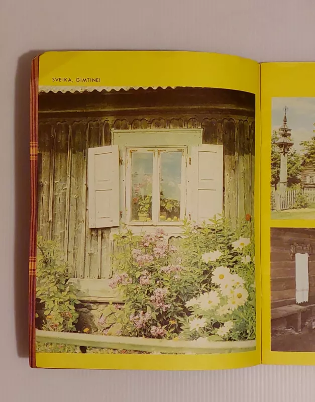 Gimtinė. Ką vadinam gimtine - Keli autoriai, knyga 6