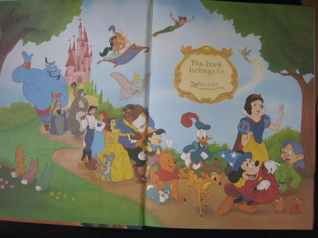 The Lion King - W.Disney, knyga 3