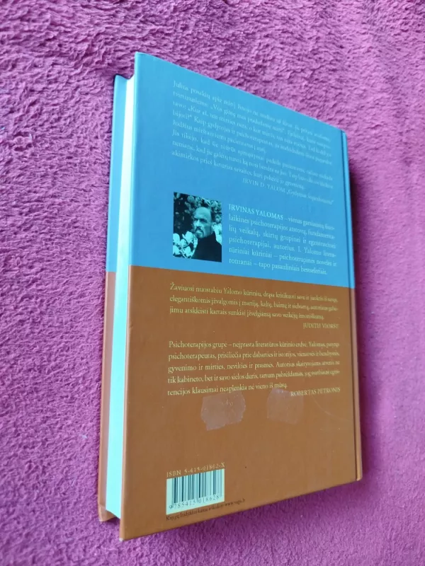 Gydymas Šopenhaueriu - Irvin D. Yalom, knyga 6