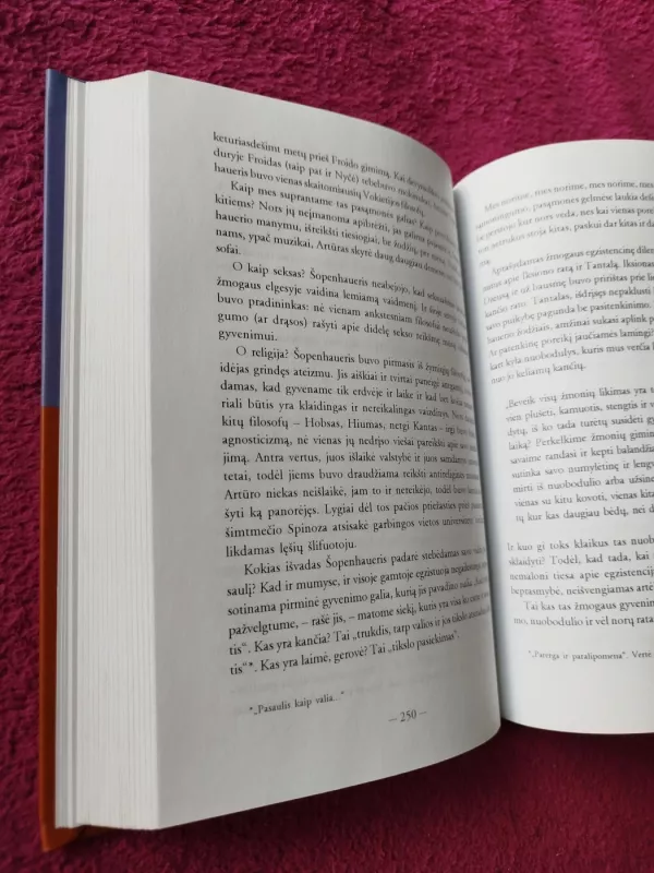 Gydymas Šopenhaueriu - Irvin D. Yalom, knyga 4