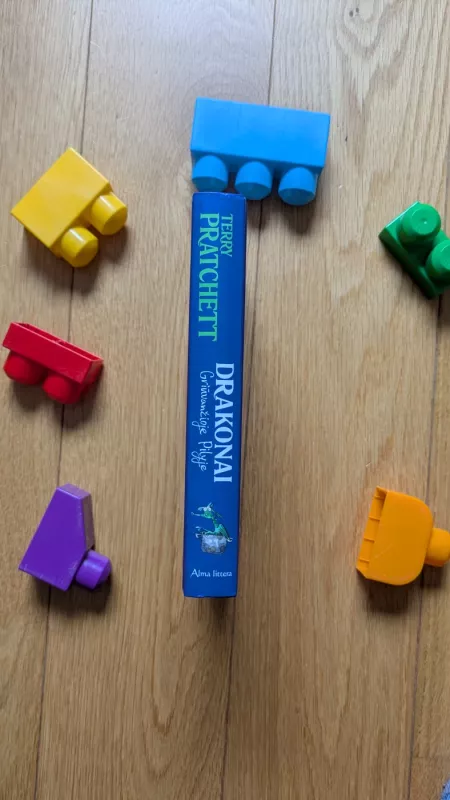 Drakonai griūvančioje pilyje - Terry Pratchett, Terry Pratchett, knyga 4