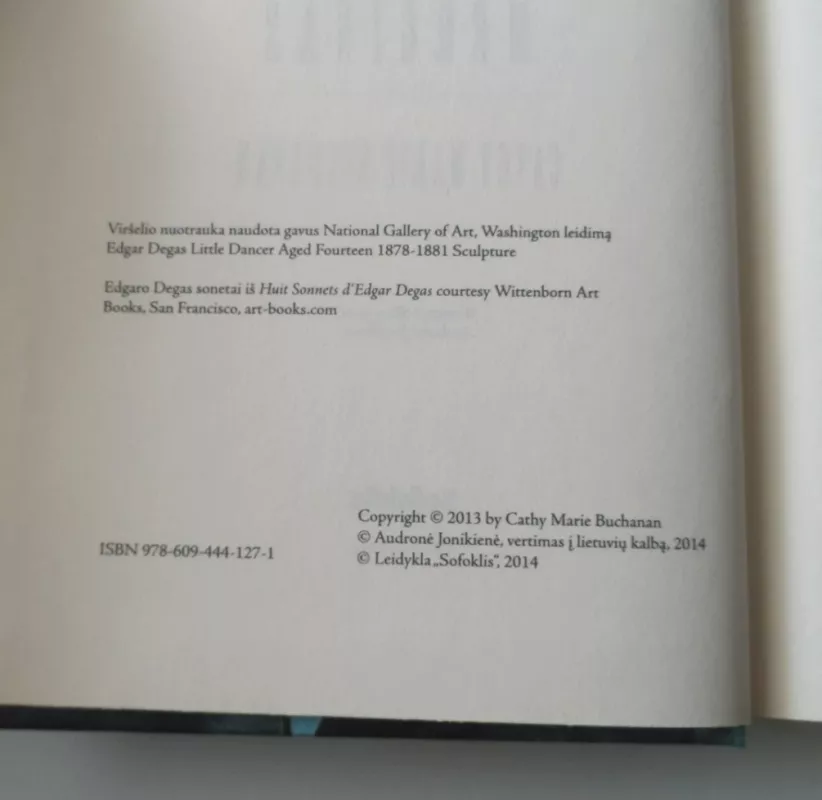 Tapyti merginas - Cathy Marie Buchanan, knyga 5