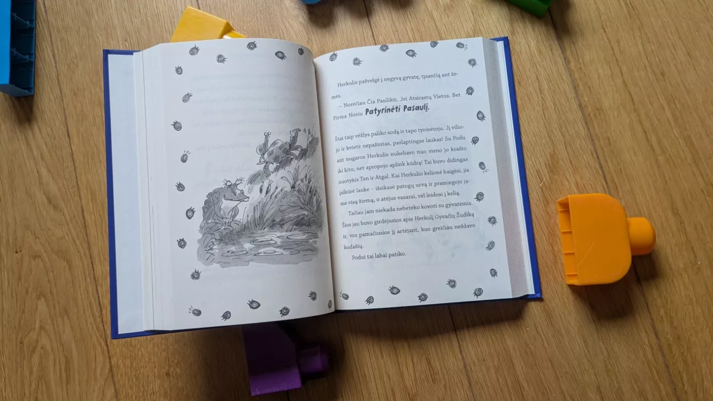 Drakonai griūvančioje pilyje - Terry Pratchett, Terry Pratchett, knyga 5