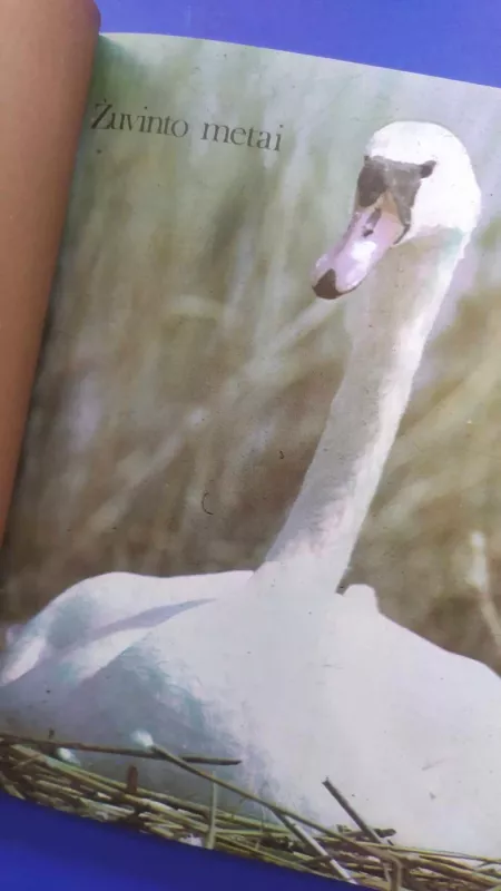 Žuvinto metai - Vytautas Nedzinskas, knyga 4