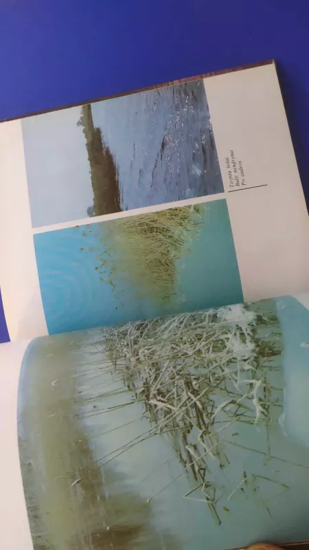 Žuvinto metai - Vytautas Nedzinskas, knyga 3