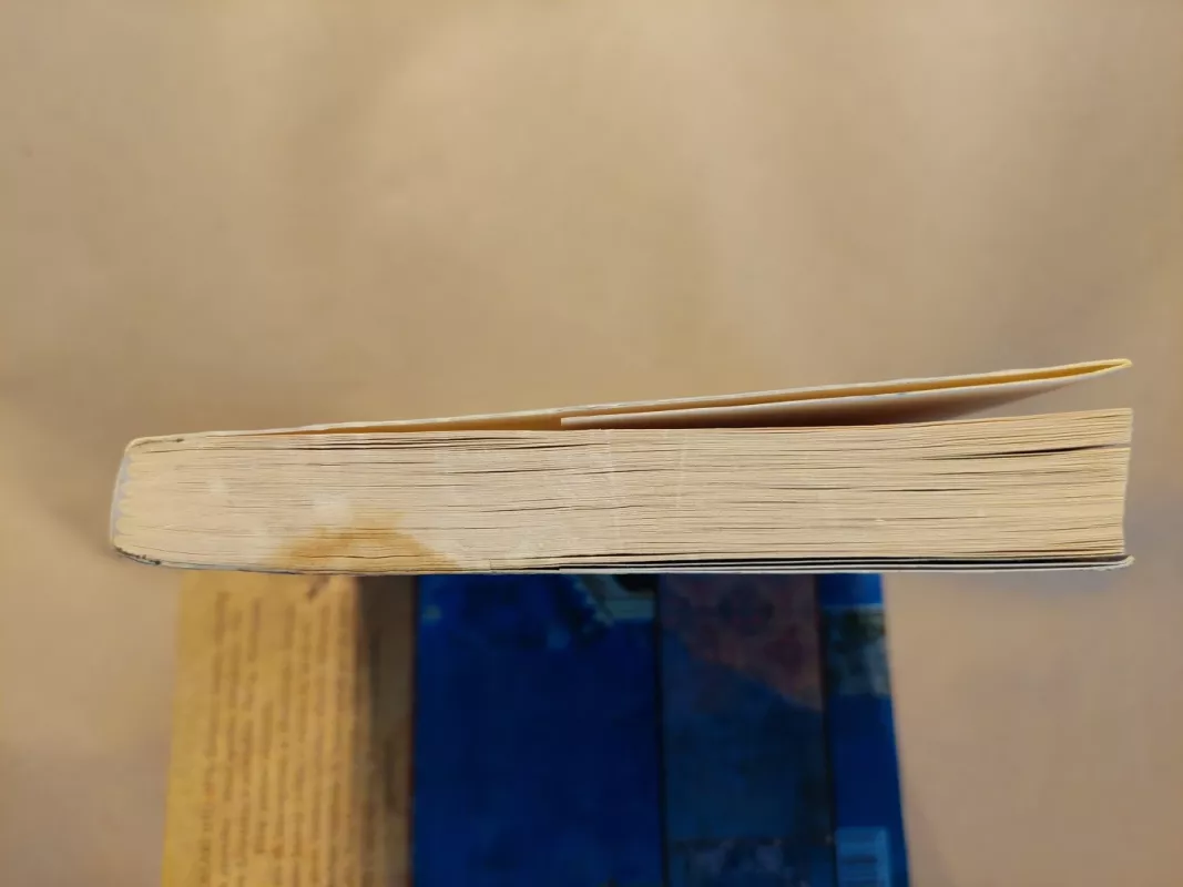 Netobulumo dovanos - Brene  Brown, knyga 3