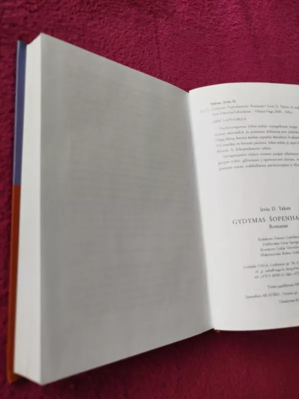 Gydymas Šopenhaueriu - Irvin D. Yalom, knyga 5