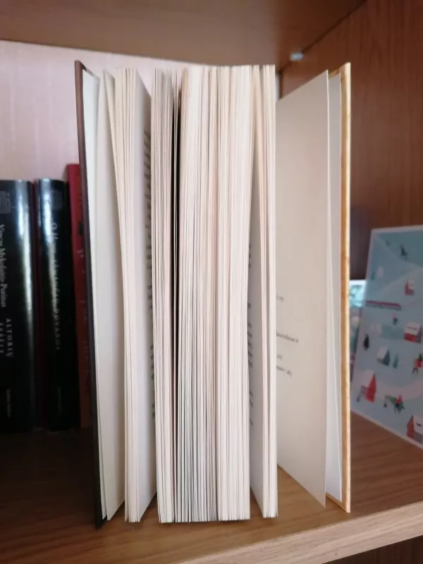 Knygų vagilė - Markus Zusak, knyga 4