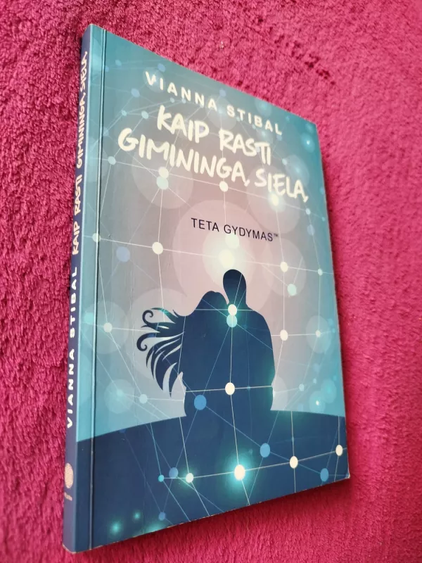 Kaip rasti giminingą sielą. Teta gydymas - Vianna Stibal, knyga 2