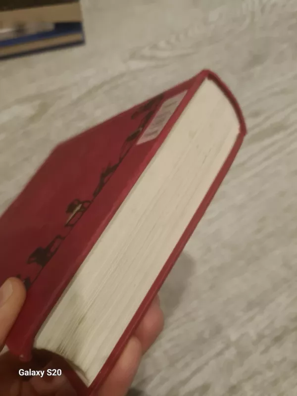 Dvylika kėdžių - Ilja Ilf, Jevgenij  Petrov, knyga 4