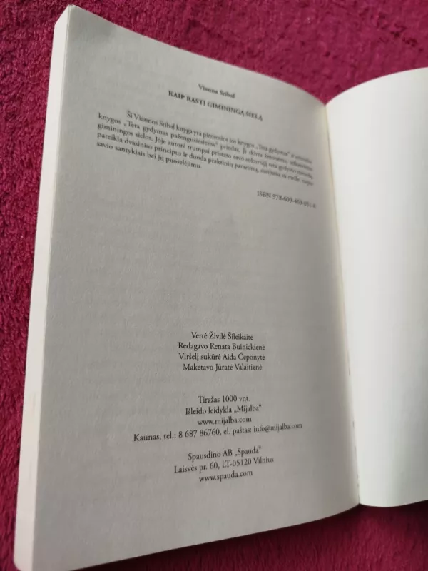 Kaip rasti giminingą sielą. Teta gydymas - Vianna Stibal, knyga 5