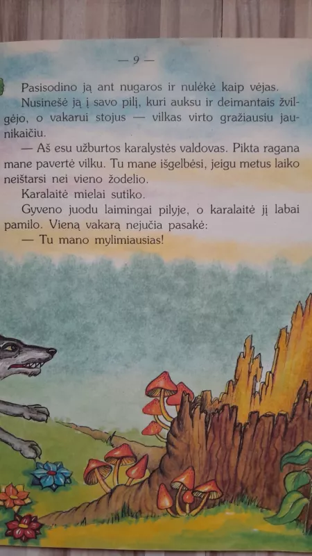 Užburta karalystė - Lietuvių pasaka, knyga 4