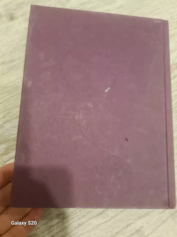 Išminties menas - Baltasar Gracian, knyga 4