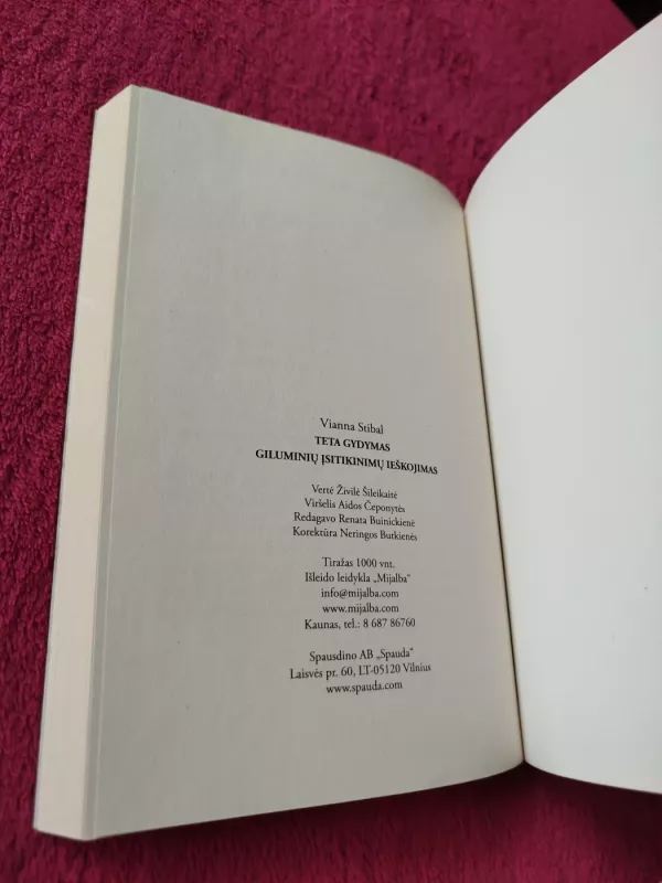 Teta gydymas. Giluminių įsitikinimų ieškojimas - Vianna Stibal, knyga 5