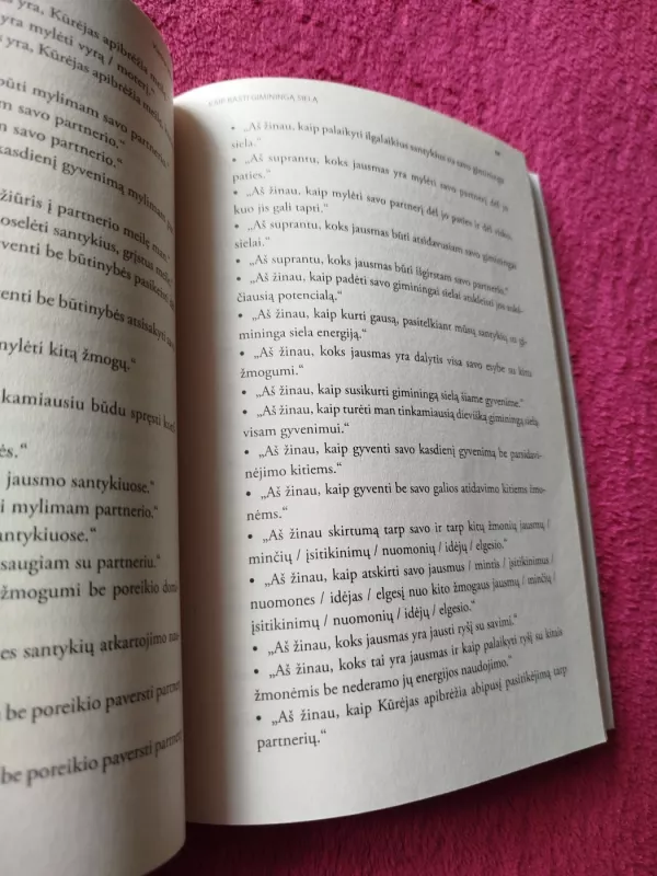 Kaip rasti giminingą sielą. Teta gydymas - Vianna Stibal, knyga 4