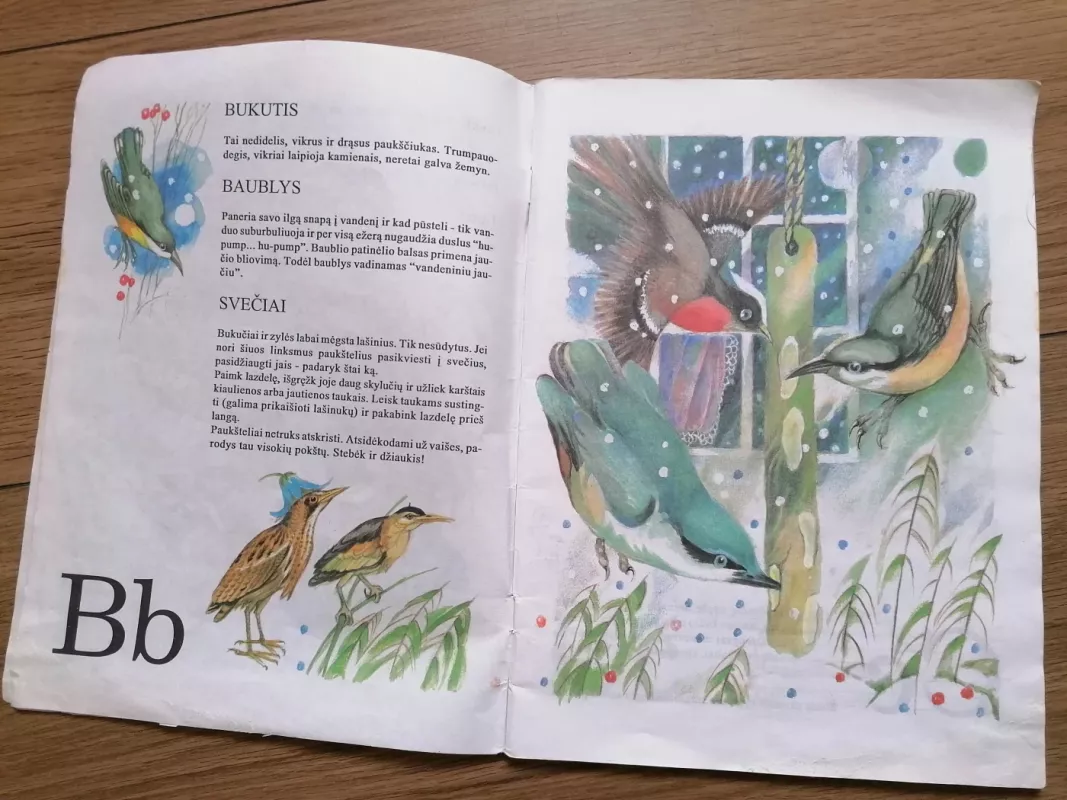 Čiulba čiulbuonėlis. Paukščių abėcėlė - Elena Laugalytė, knyga 3