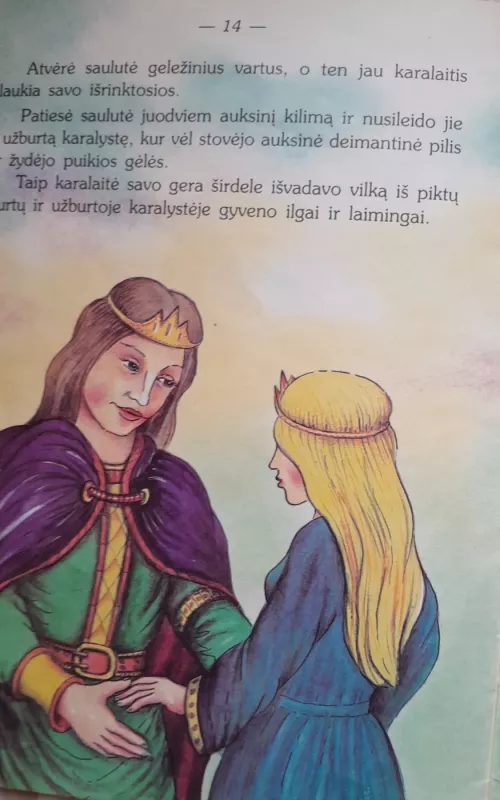 Užburta karalystė - Lietuvių pasaka, knyga 5