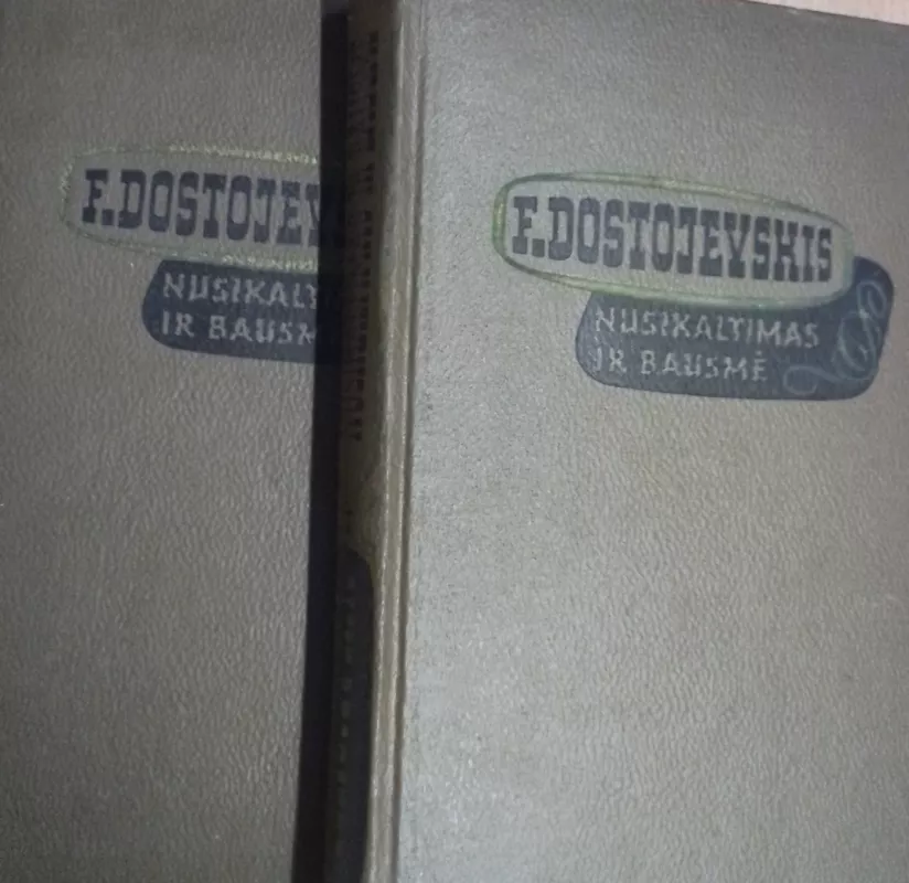 Nusikaltimas ir bausmė (2 knygos) - Fiodoras Dostojevskis, knyga 2
