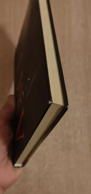 Nakties traukinys - Martin Amis, knyga 3