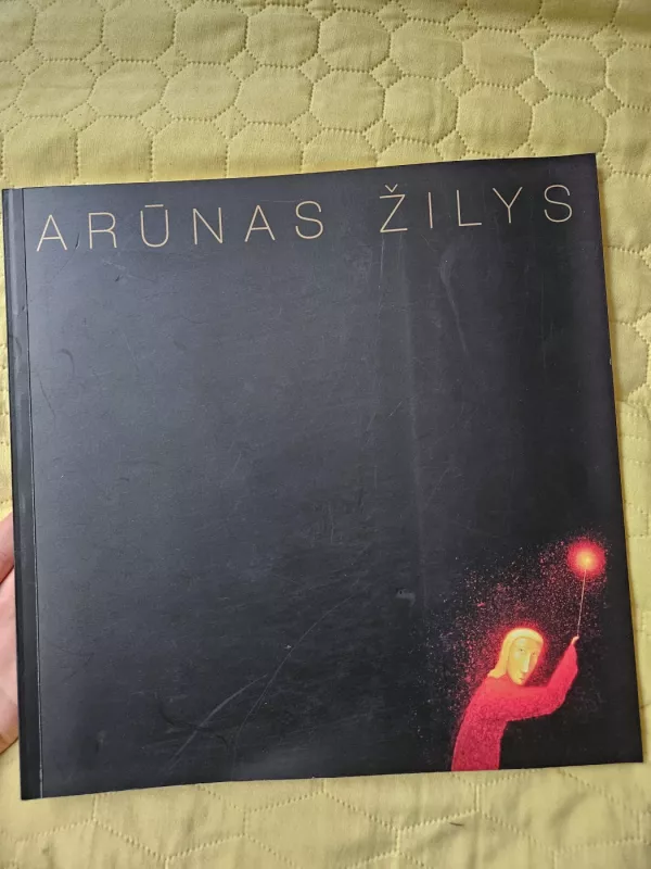 Arūnas Žilys Tapyba - Arūnas Žilys,, knyga 6