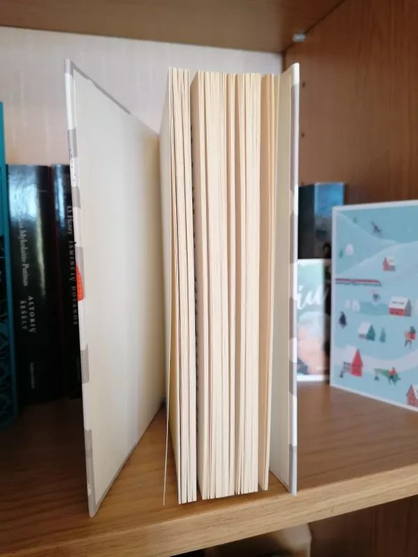 Mažosios moterys - Autorių Kolektyvas, knyga 4