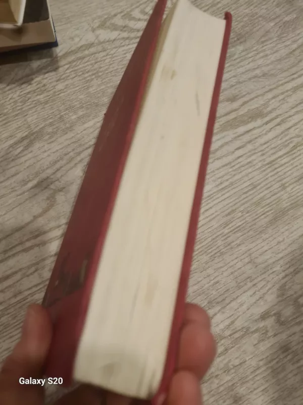 Dvylika kėdžių - Ilja Ilf, Jevgenij  Petrov, knyga 5