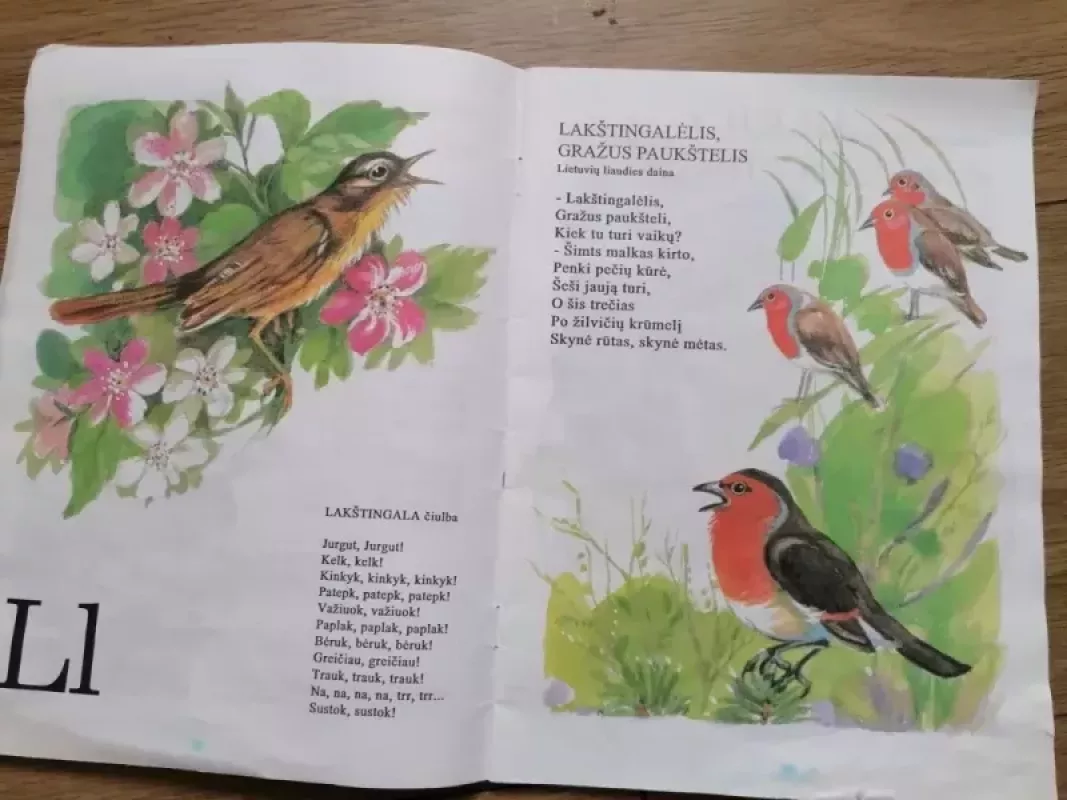 Čiulba čiulbuonėlis. Paukščių abėcėlė - Elena Laugalytė, knyga 6