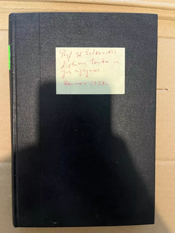 Lietuvių tauta ir jos ugdymas - S. Šalkauskis, knyga 2