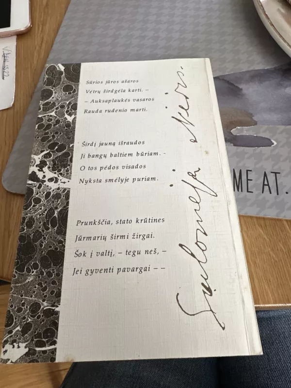 Salomėjos Nėries ruduo - Viktorija Daujotytė, knyga 3