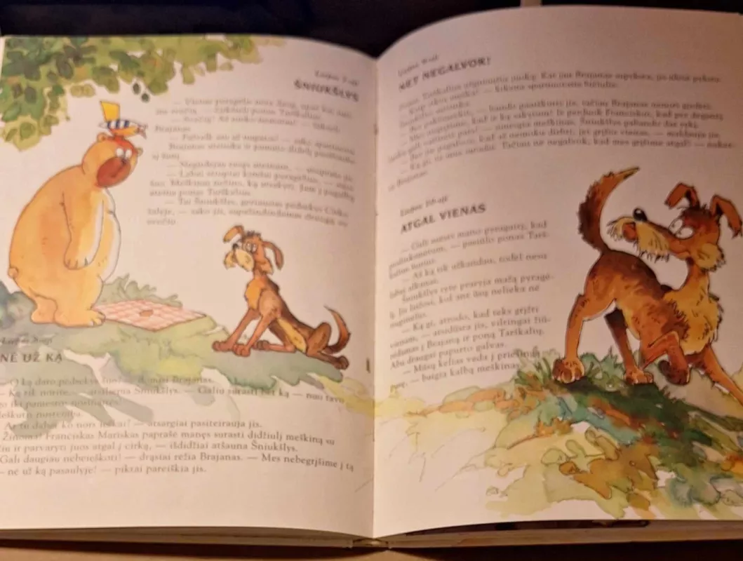 365 meškučio Brajano nuotykiai - Maan Jansen, knyga 4