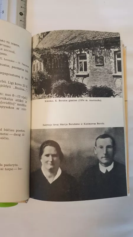 Drauge su draugais - Kazys Boruta, knyga 3