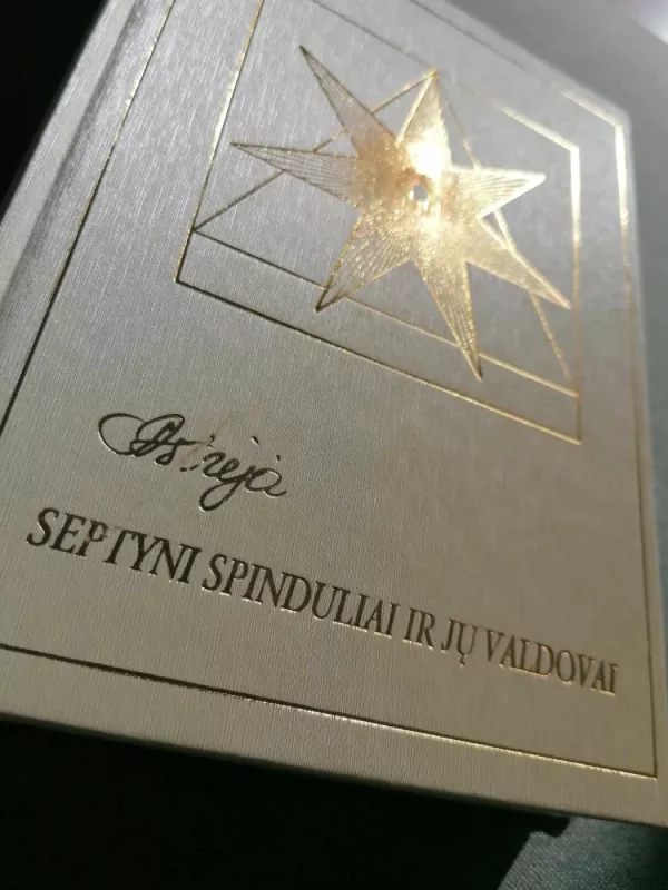 Septyni spinduliai ir jų valdovai - Audronė Ilgevičienė - Astrėja, knyga 4