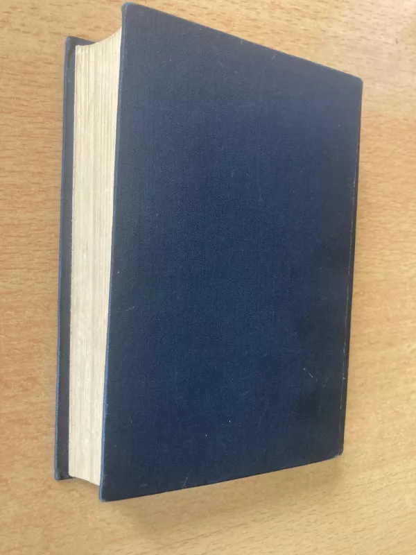 Laiptai į dangų - Mykolas Sluckis, knyga 3