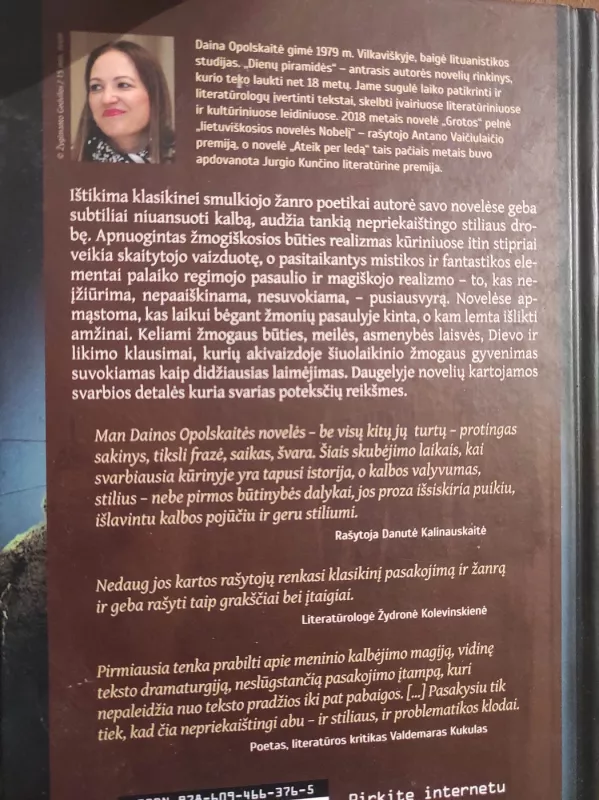 Dienų piramidės - Daina Opolskaitė, knyga 3