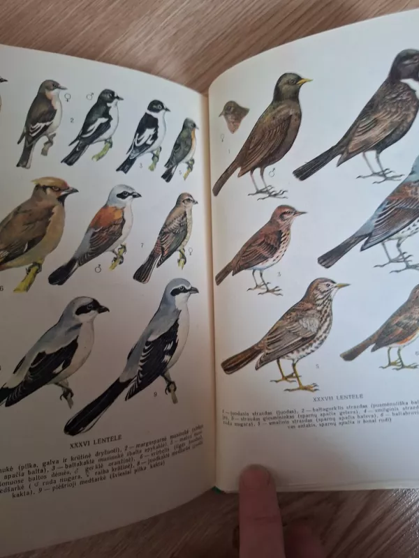 Lietuvos paukščiai - Vytautas Logminas, knyga 5
