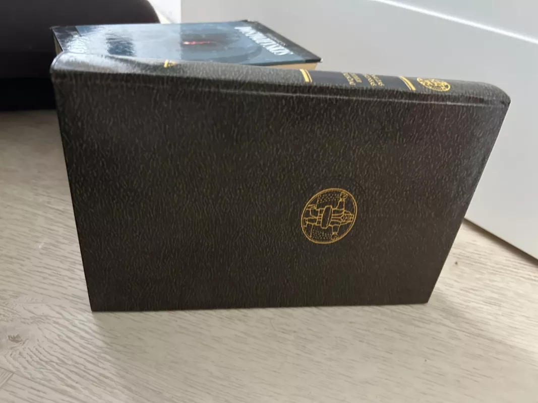 Didieji lūkesčiai - Charles Dickens, knyga 3