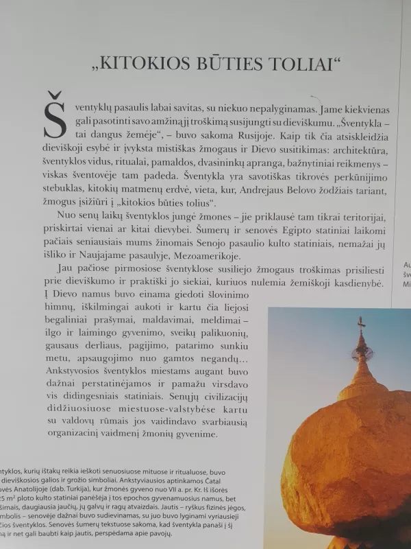 Šventyklos ir Vienuolynai - Autorių Kolektyvas, knyga 3