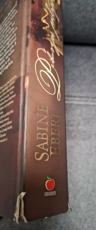 Pribuvėjos paslaptis - Sabine Ebert, knyga 3