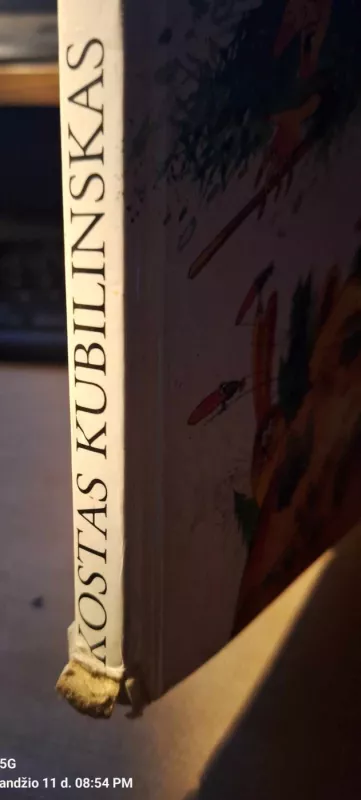 Buvo buvo kaip nebuvo - Kostas Kubilinskas, knyga 3