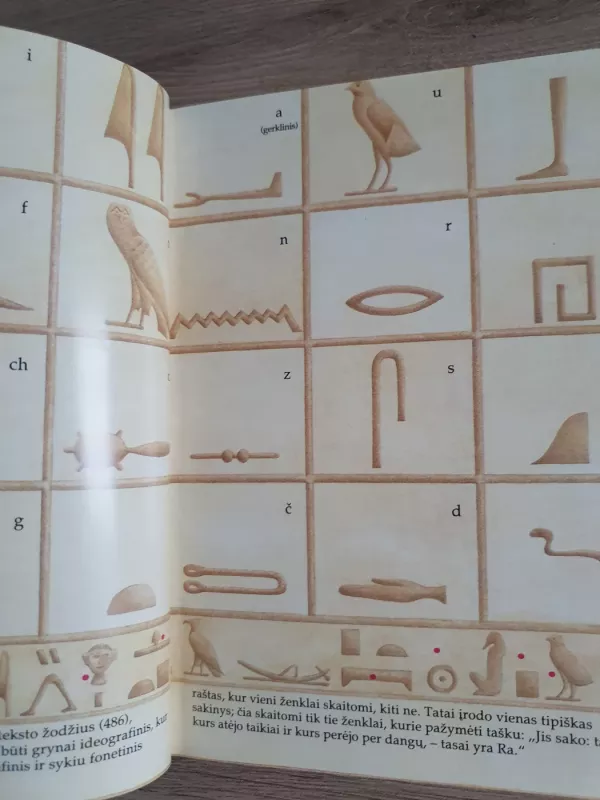 Užmiršto Egipto beieškant - jean Vercourtter, knyga 4