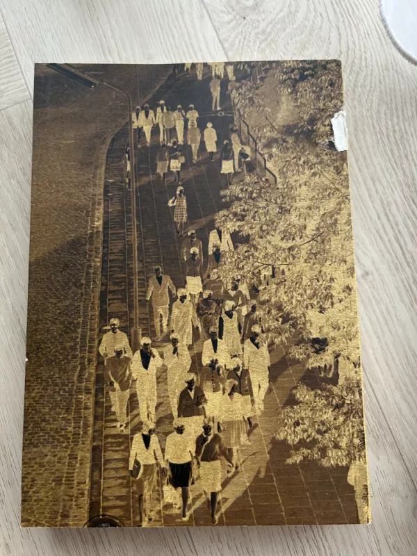 Nuobodulio visuomenė. Kasdienybė ir ideologija vėlyvuoju sovietmečiu (1964-1984) - Tomas Vaiseta, knyga 3