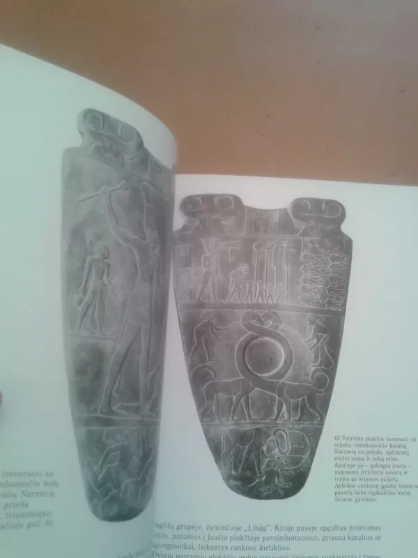 Egiptiečiai - Cyril Aldred, knyga 6