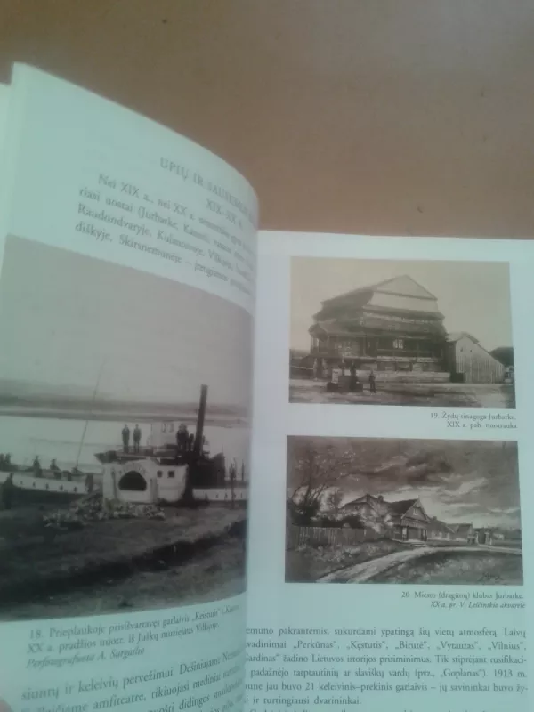 Panemunės istorija: Archeologijos ir meno paminklai - Rūta Janonienė, knyga 5