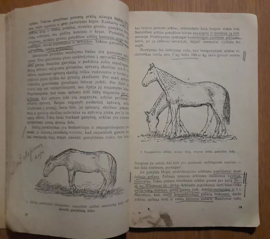 Arklių šėrimas - Z. Girsavicfius, knyga 6