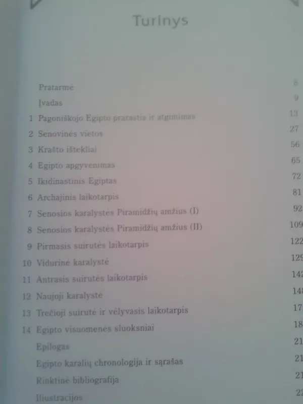 Egiptiečiai - Cyril Aldred, knyga 4