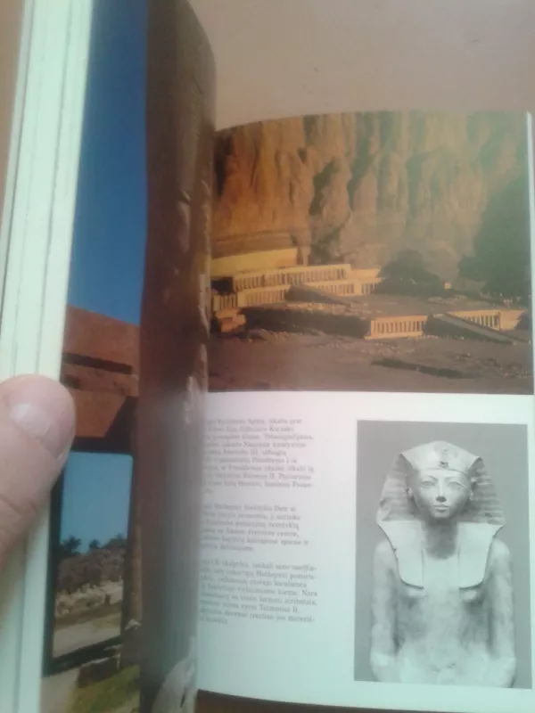 Egiptiečiai - Cyril Aldred, knyga 5