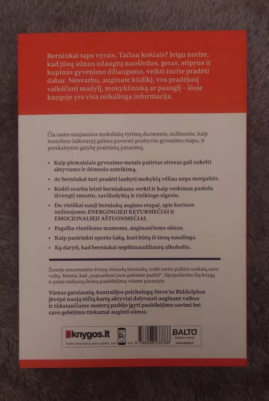 Kaip auginti berniukus XXI amžiuje - Steve Biddulph, knyga 3