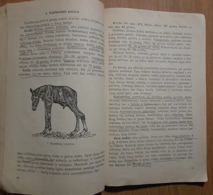 Arklių šėrimas - Z. Girsavicfius, knyga 4